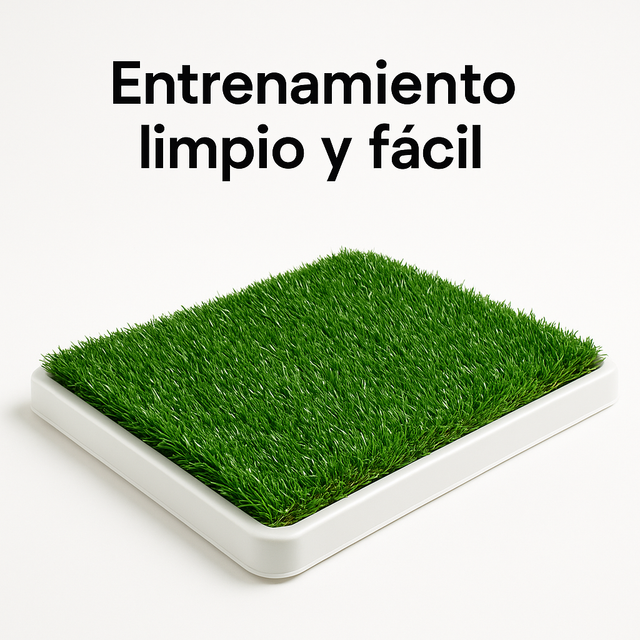 Baño Ecológico Potty Patch XL