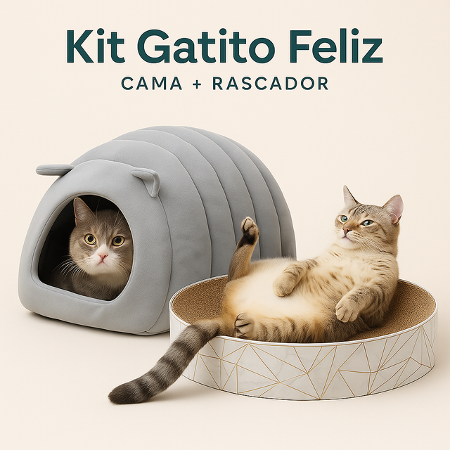 🐱 Kit Gatito Feliz – Cama + Rascador (Pack Premium)