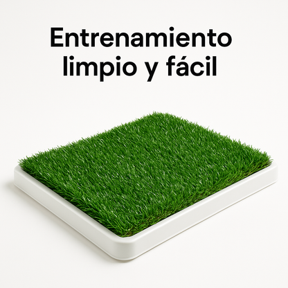 Baño Ecológico Potty Patch XL