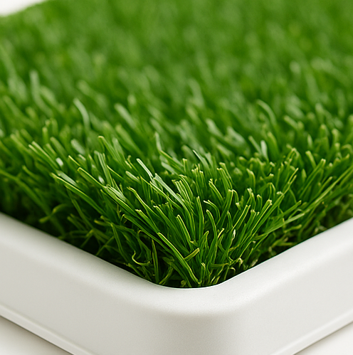 Baño Ecológico Potty Patch XL