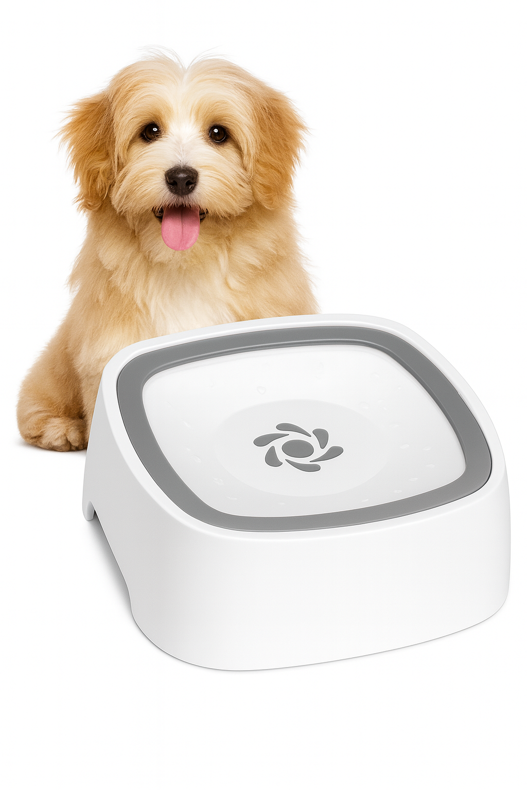 Bowl Antisplash para Mascotas